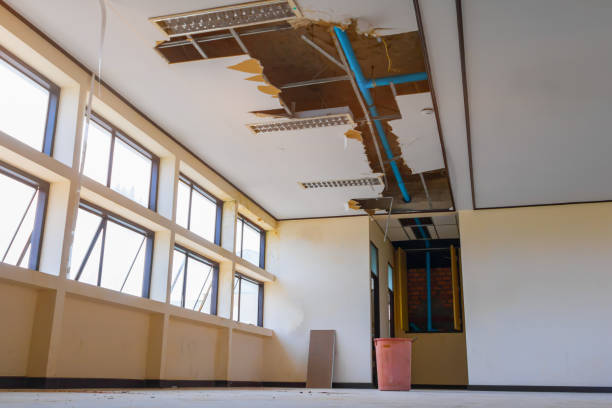 Best Basement water damage restoration  in Abbeville, GA