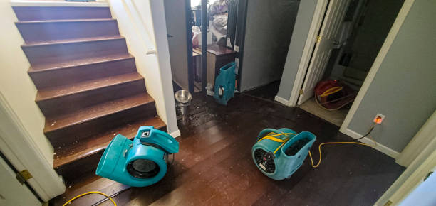 Best Commercial water damage restoration  in Abbeville, GA