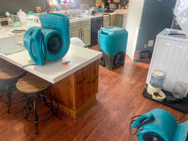 Best Basement water damage restoration  in Abbeville, GA