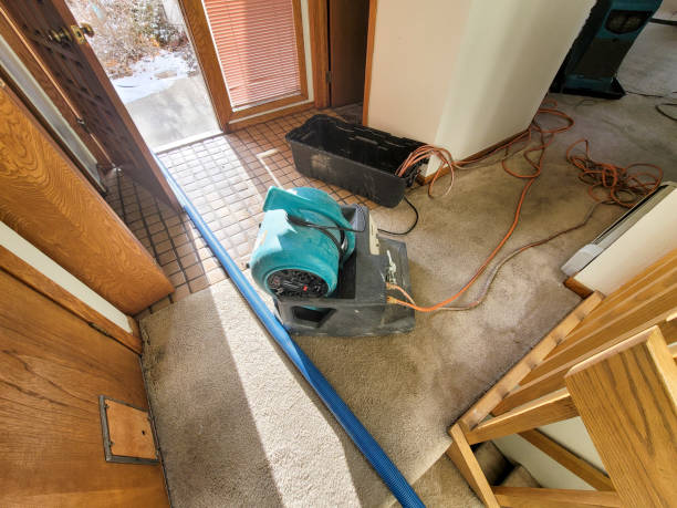 Best Water damage restoration near me  in Abbeville, GA