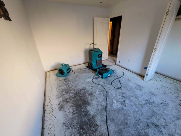 Best Water damage restoration specialists  in Abbeville, GA