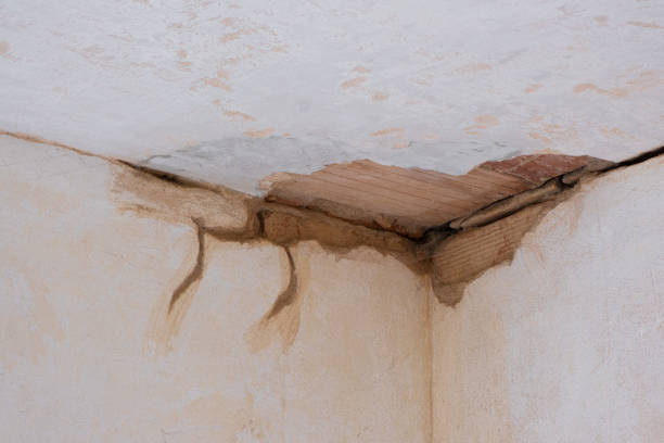 Best Sewage cleanup and water damage restoration  in Abbeville, GA