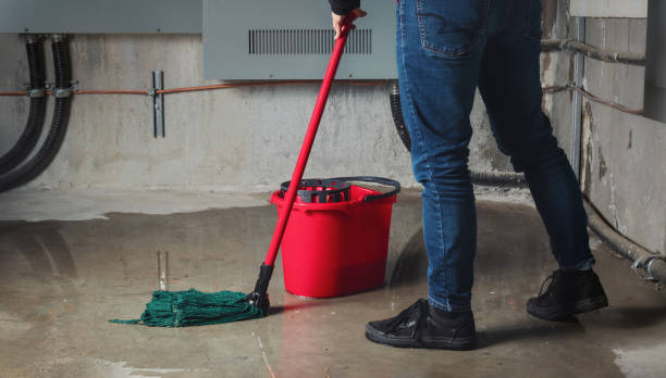 Best Local water damage restoration  in Abbeville, GA