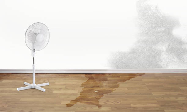 Best Water damage restoration company  in Abbeville, GA