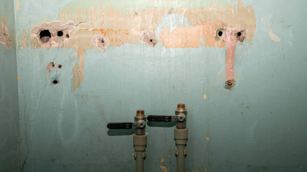  Abbeville, GA Water damage restoration Pros
