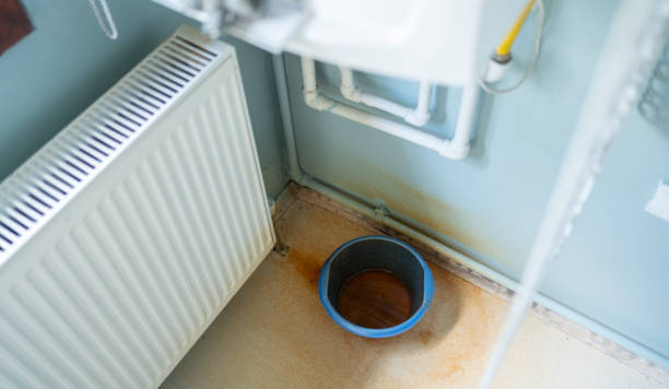 Best Flood damage cleanup  in Abbeville, GA