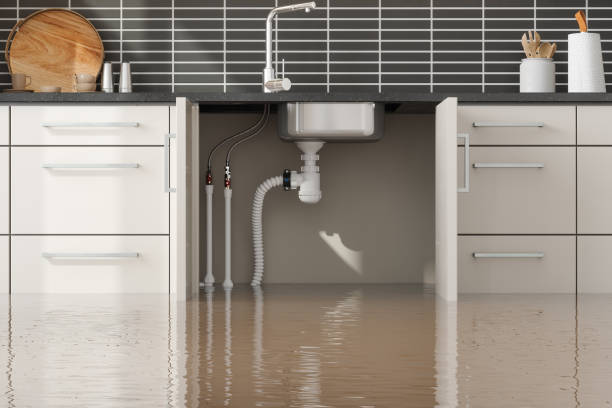 Best Ceiling water damage repair  in Abbeville, GA