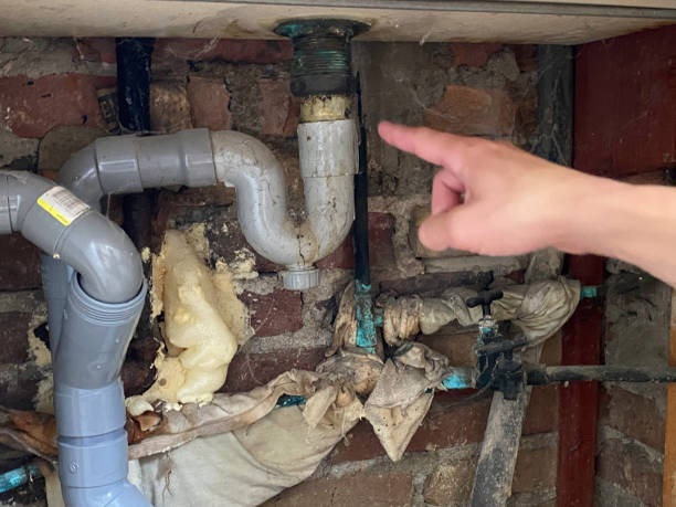 Best Commercial water damage restoration  in Abbeville, GA