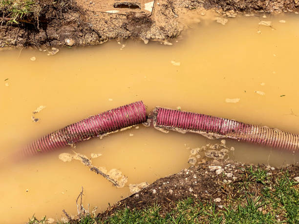 Best Flood restoration services  in Abbeville, GA