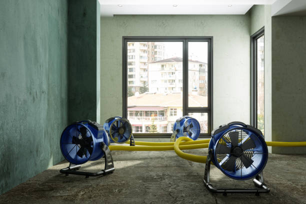Best 24-hour water damage restoration  in Abbeville, GA